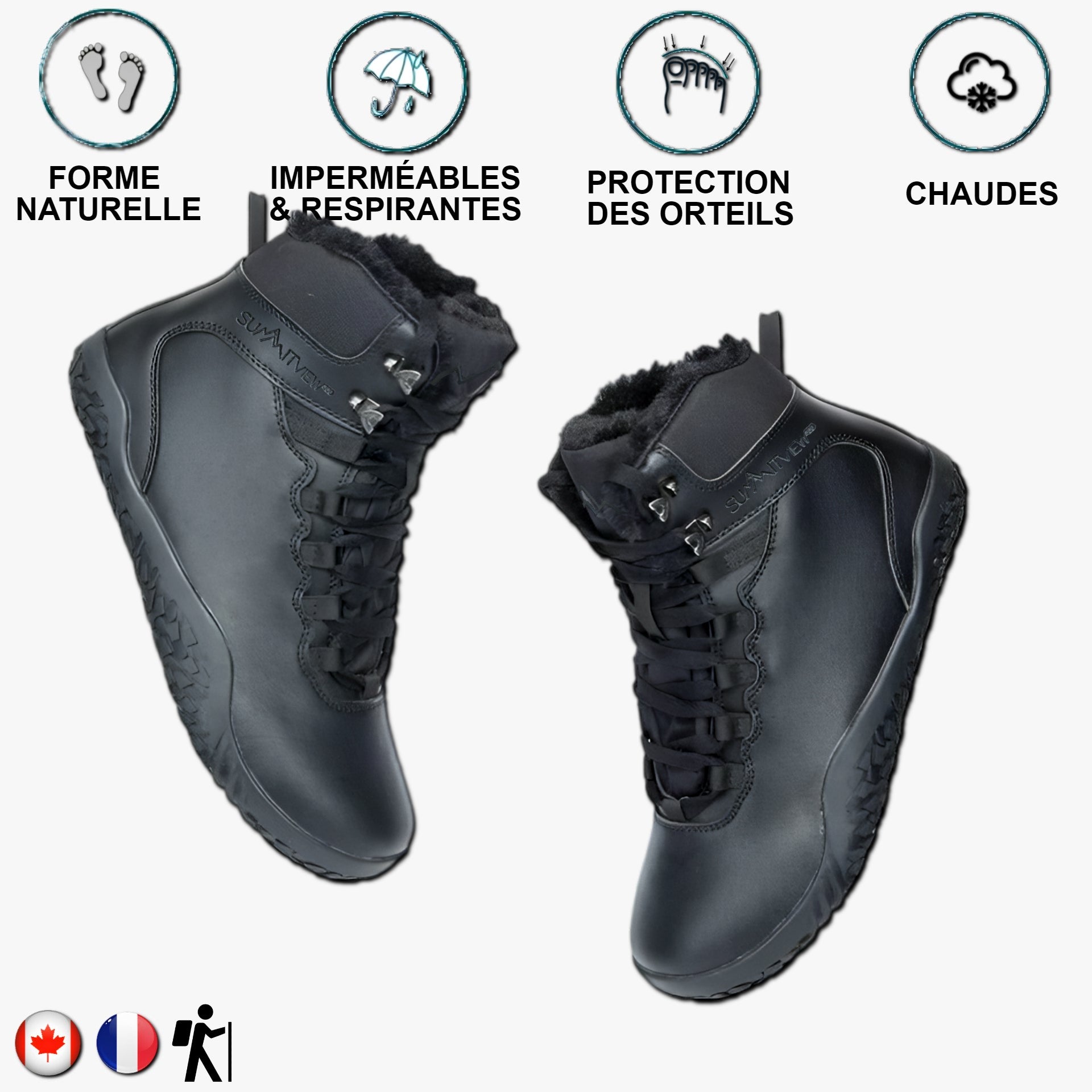 Aigle noir