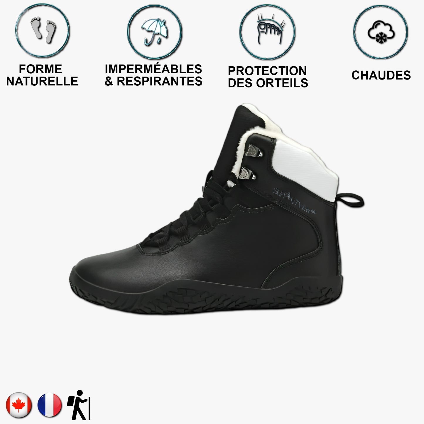 Aigle royal Noir et blanc