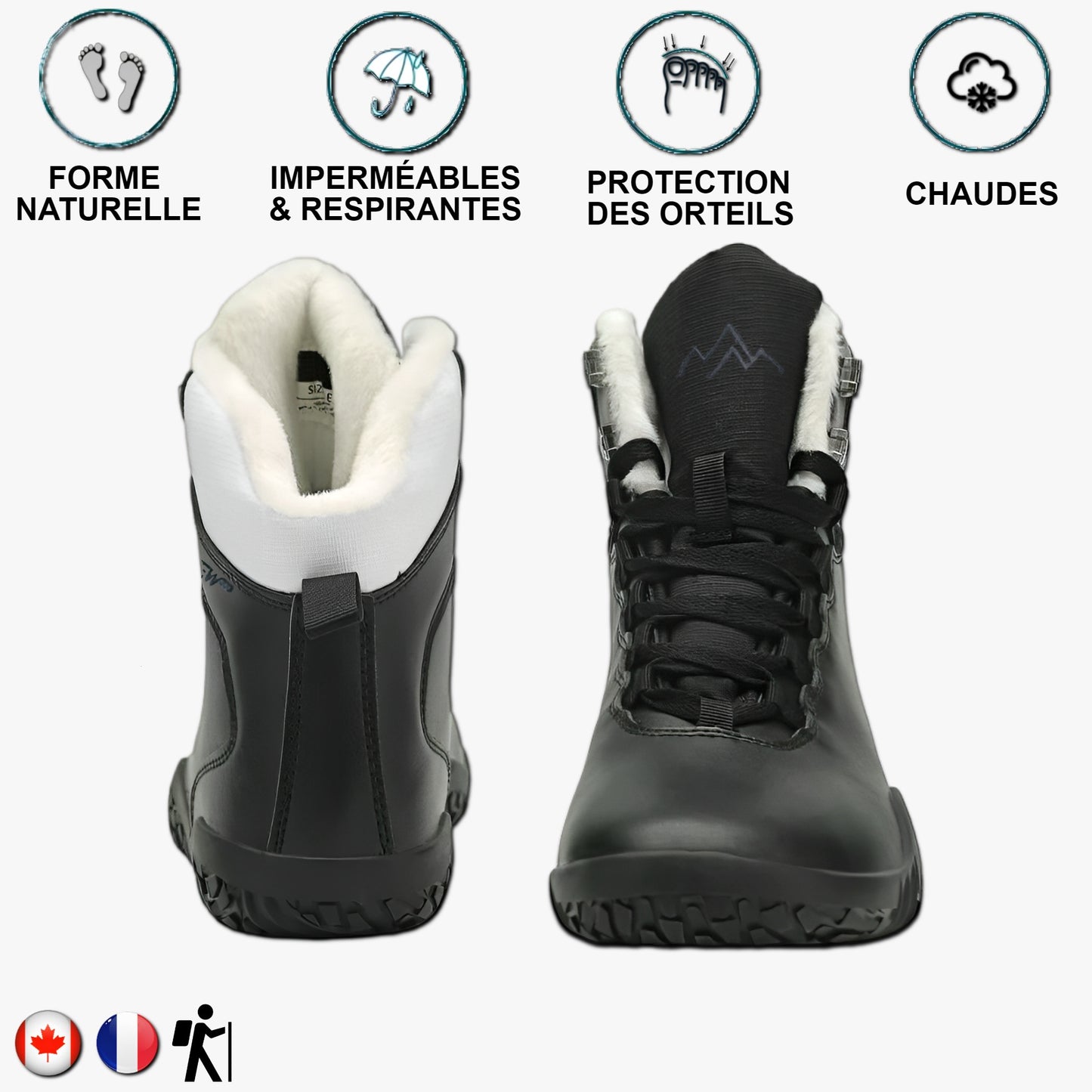 Aigle royal Noir et blanc