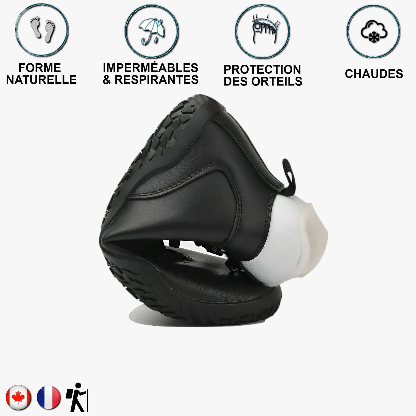 Aigle royal Noir et blanc