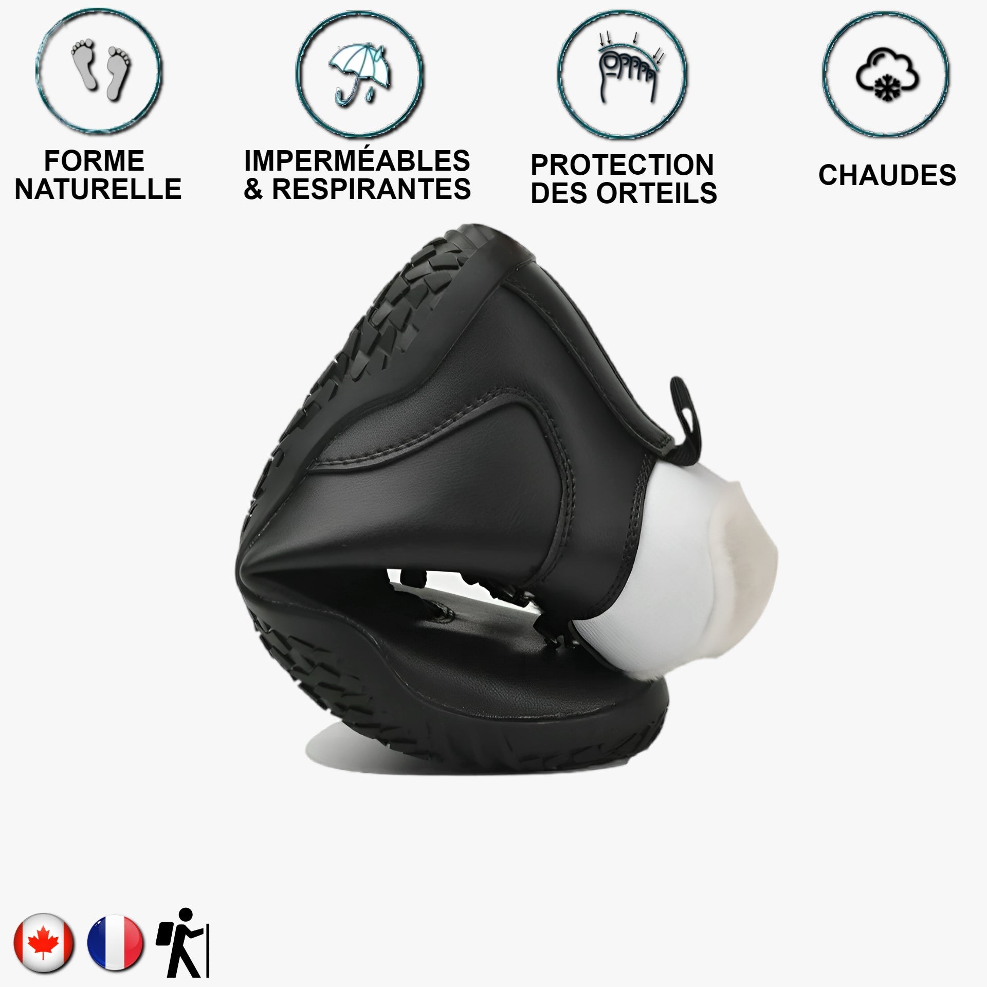 Aigle royal Noir et blanc