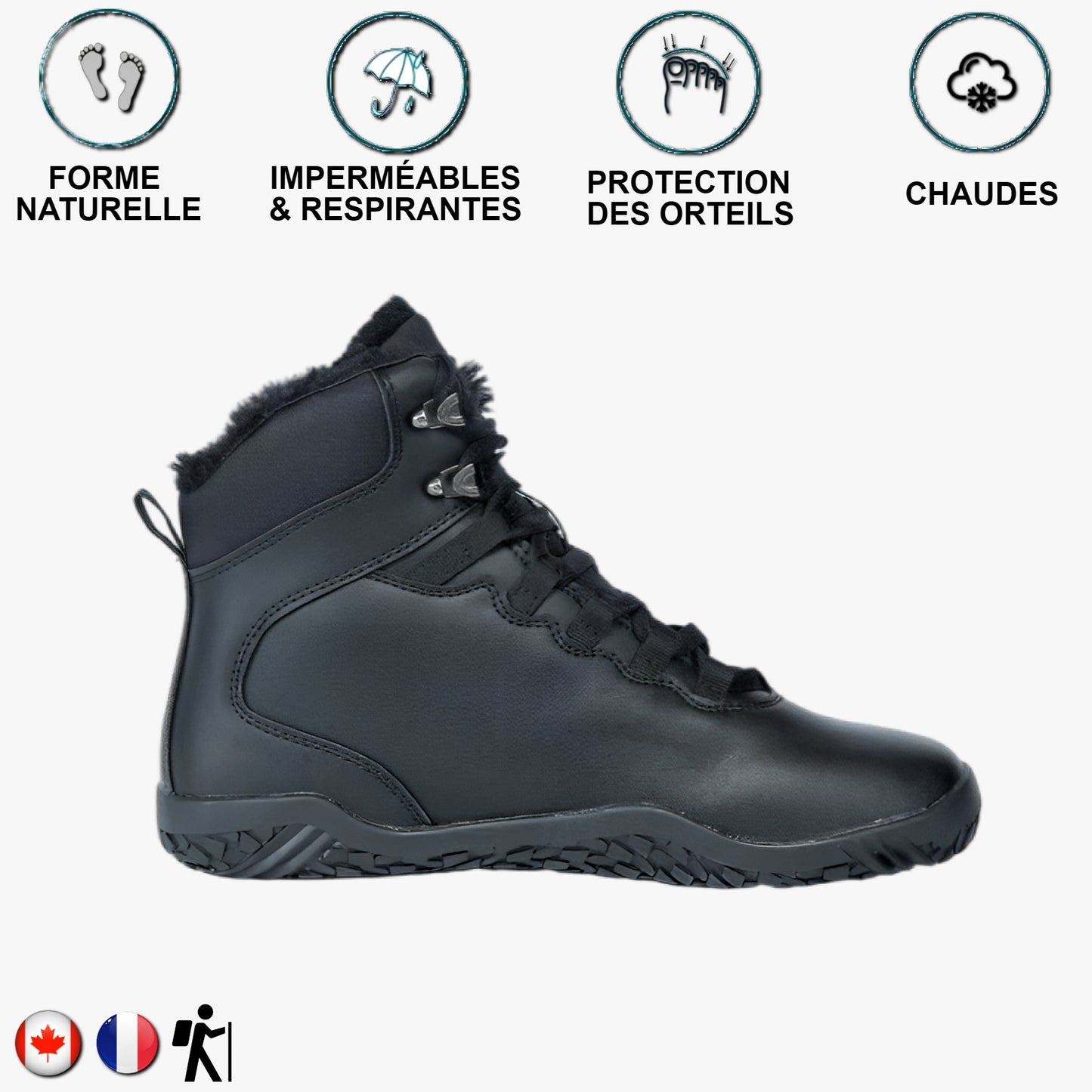 Aigle noir