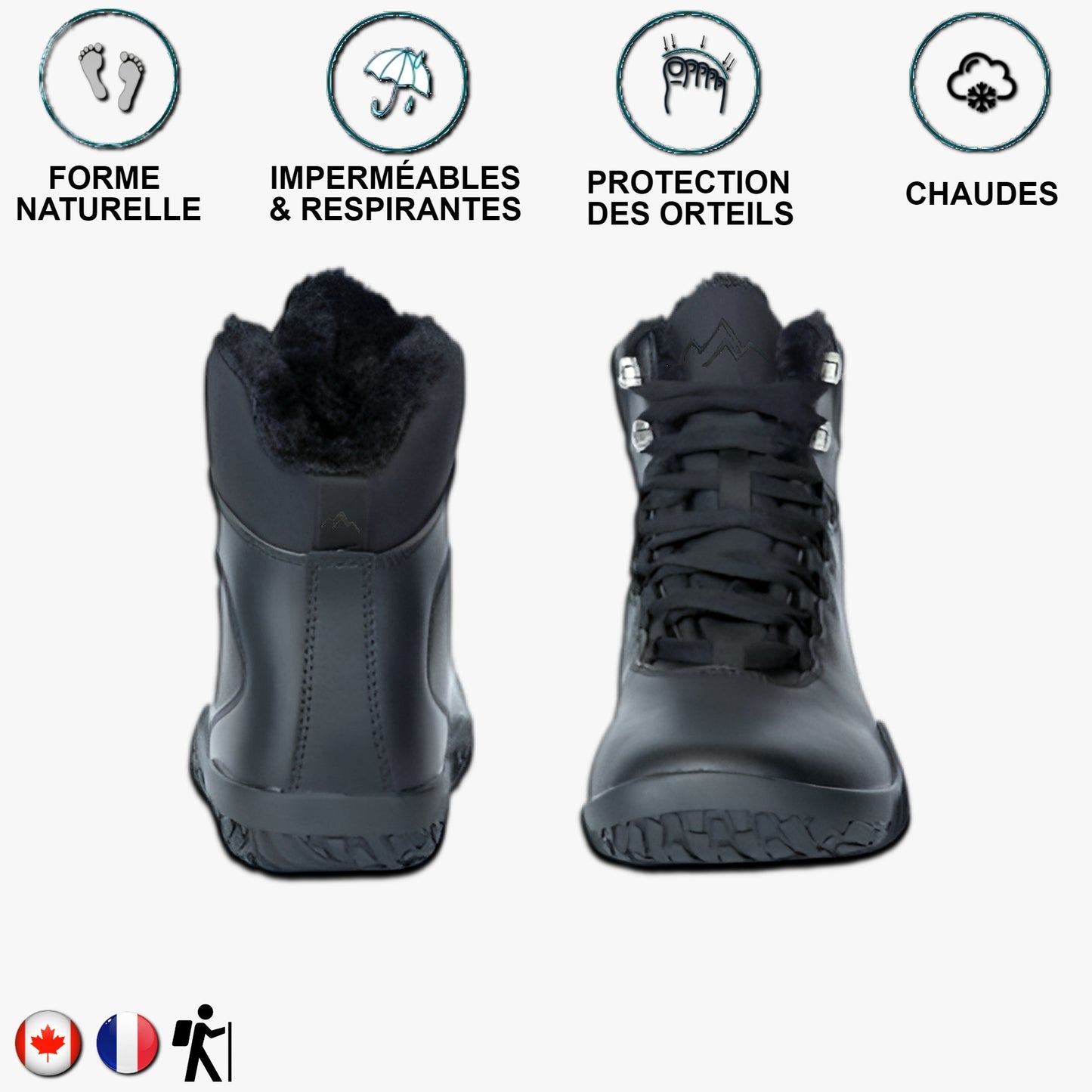 Aigle noir