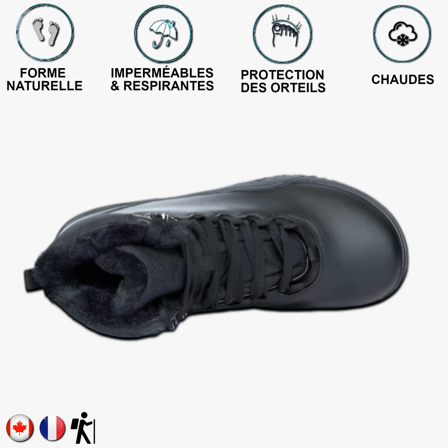 Aigle noir