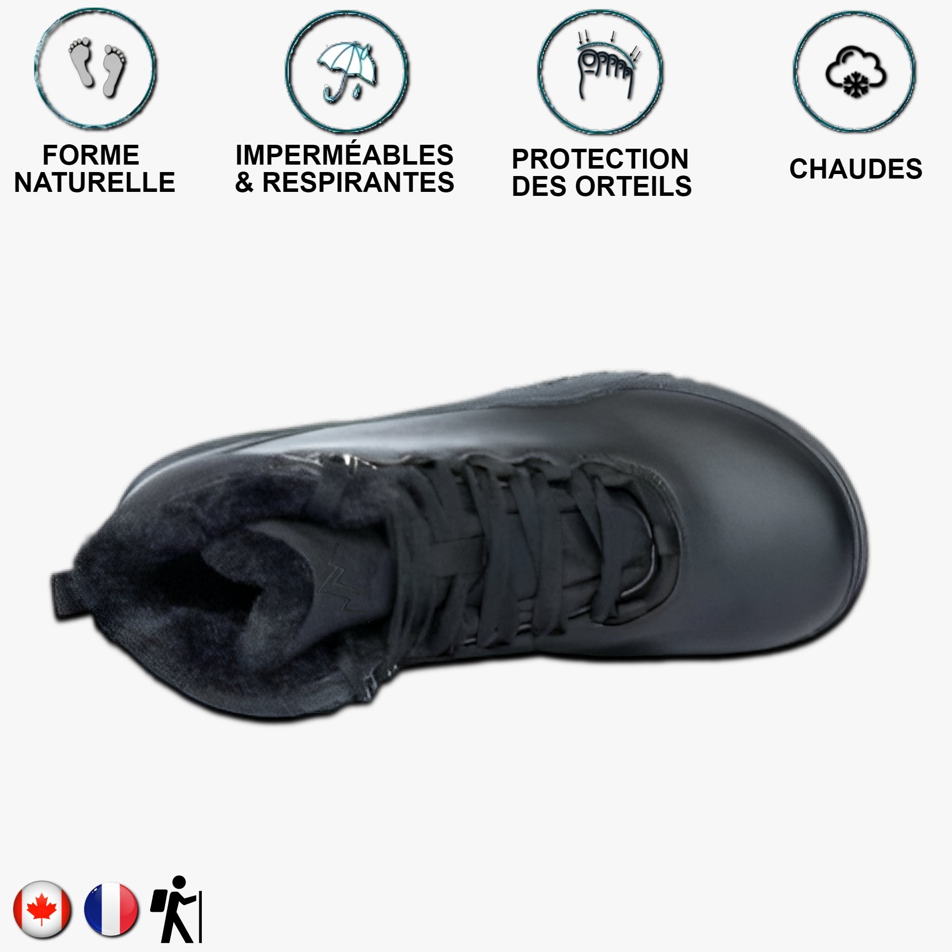 Aigle noir
