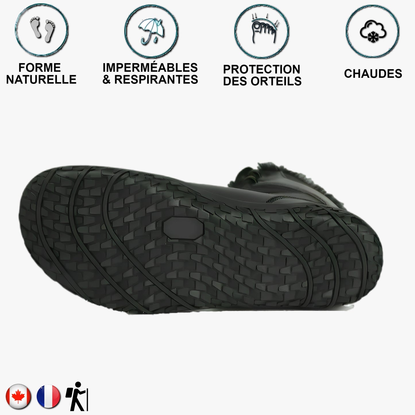 Aigle noir