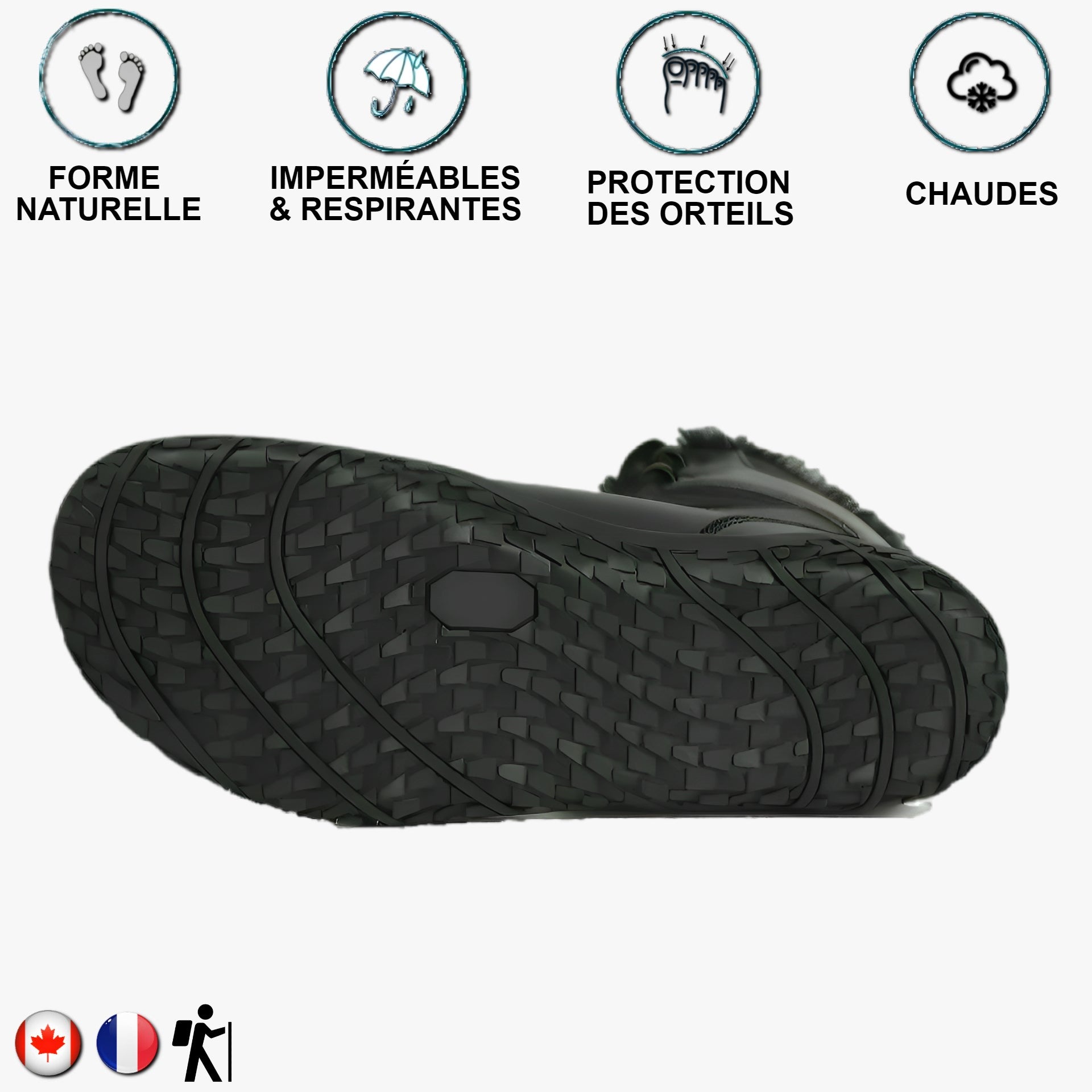 Aigle noir